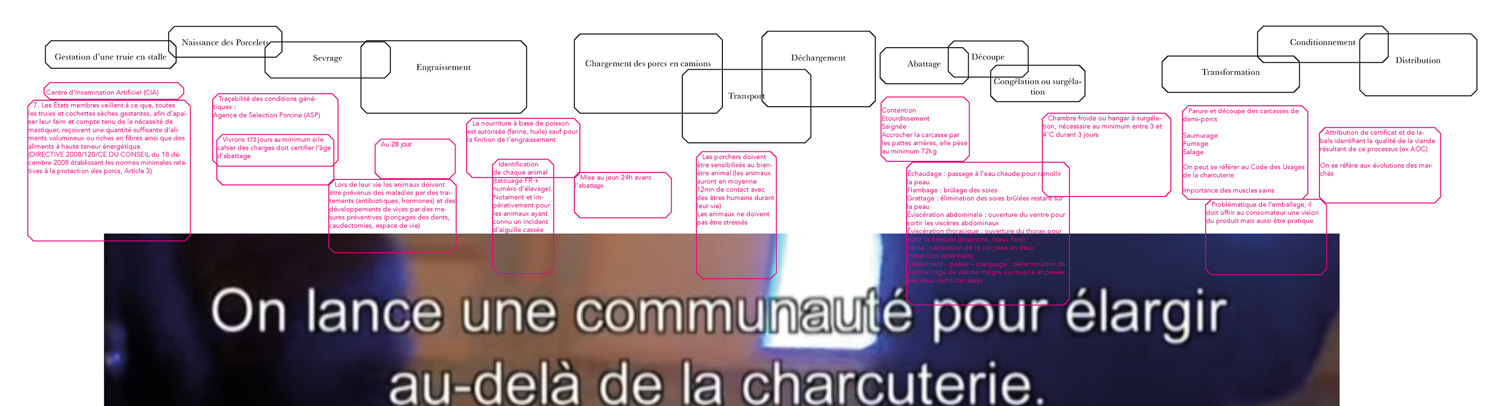 Schéma de l'apparition du jambon cuit au monde